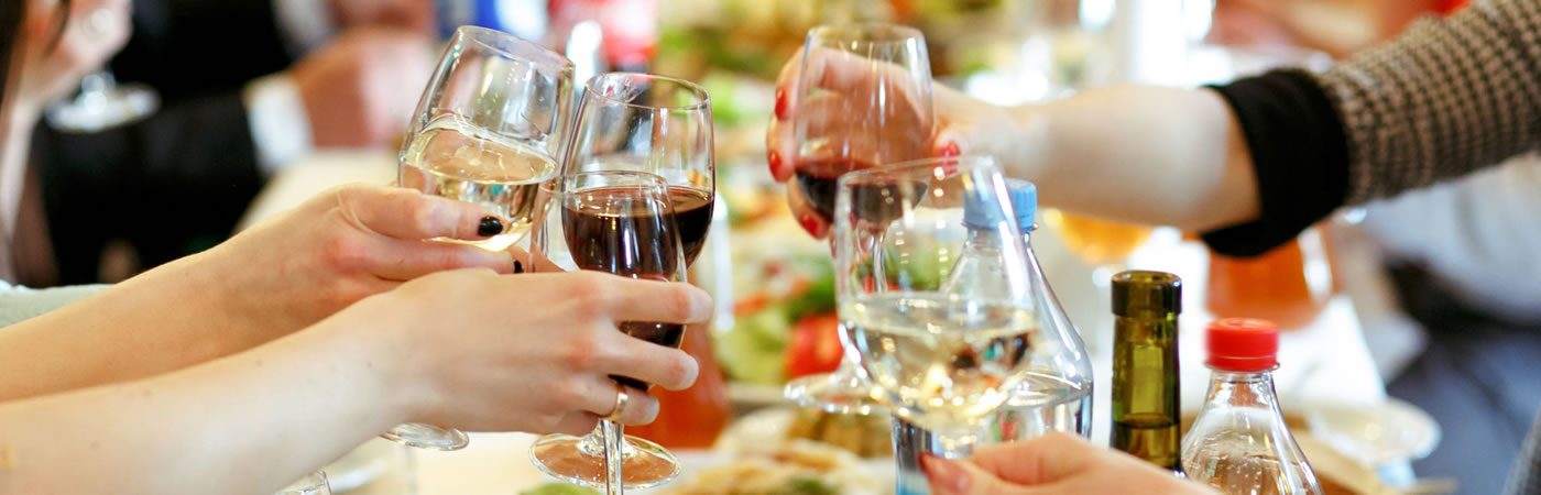 Freindly Lunch - Bespoke Concert Tours - Musica Europa - Banner